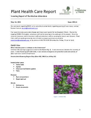 Plant Health Care Report: Issue 2021.4