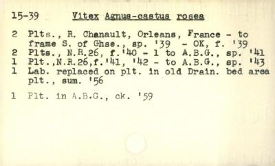 Plant Records Card Catalog, Vitex (chaste tree)