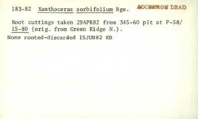 Plant Records Card Catalog, Xanthoceras (yellowhorn)