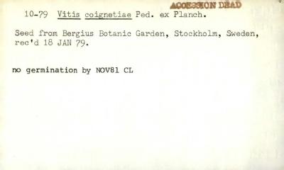 Plant Records Card Catalog, Vitis (grape)
