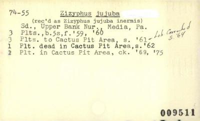 Plant Records Card Catalog, Zizyphus (jujube)
