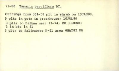Plant Records Card Catalog, Tamarix (tamarisk)