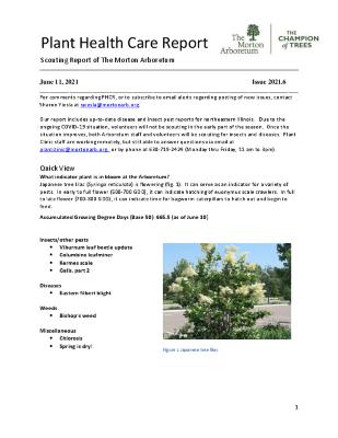 Plant Health Care Report: Issue 2021.6