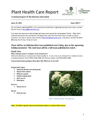 Plant Health Care Report: Issue 2021.7