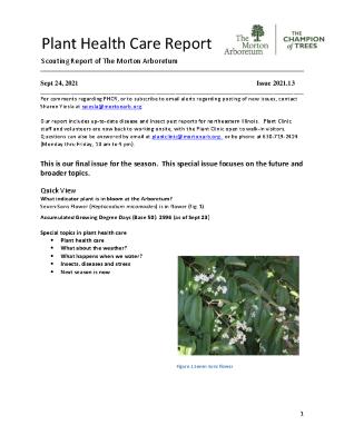 Plant Health Care Report: Issue 2021.13 and Index