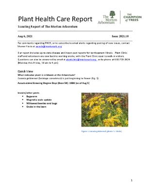 Plant Health Care Report: Issue 2021.10