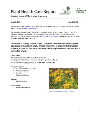 Plant Health Care Report: Issue 2021.11