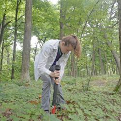 Taylor Quinn collecting soil samples from an unburned plot