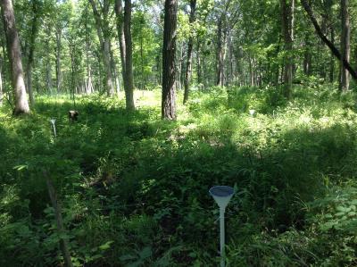A set of nitrogen deposition collectors in Middlefork Savannah Forest Preserve
