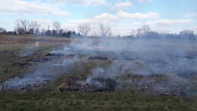 A crew performing a prescribed burn of all the 2 x 2 meter plots in fall 2020