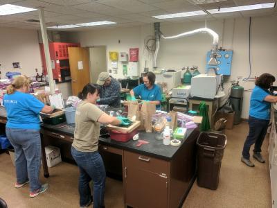 Researchers and volunteers preparing mesocosm soils for analyses