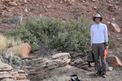 Dr. Hoban with shinnery oak (Quercus havardii) in Utah desert