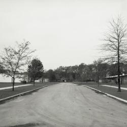 Road into completed Arbordale housing development