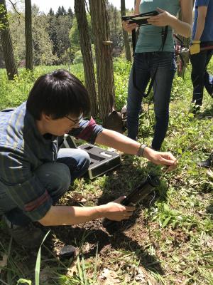 Marvin Lo collecting black locust root images from a minirhizotron tube