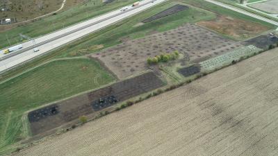 An overview of the experimental soil amendment planting beds and planting holes after planting in 2018