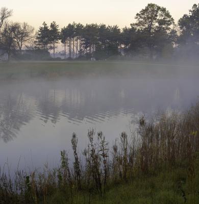 Morning Fog on Crabapple Lake