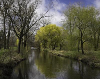Willows on the DuPage River
