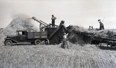 Men threshing grain at Lisle Farms