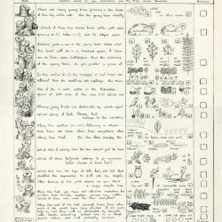 Forest Nature Trail Guide: Forest Nature Trail worksheet (original)