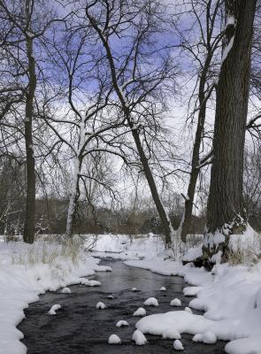 Willoway Brook in Winter