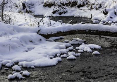 Fresh Snow along Creek