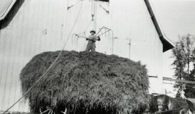 Fritz Kuttner unloading hay at Lisle Farms