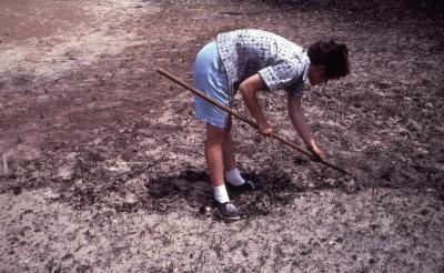 Cathy Schauss Weeding in Sand Barren