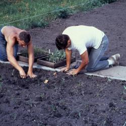 Jack Stitt and Bob Read Planting