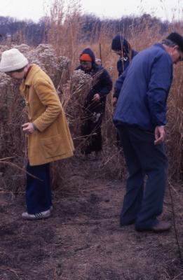 Volunteers Planting Prairie