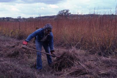Bill Thorton raking Prairie Hay