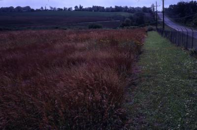 Schulenberg Prairie (left) and Leask Lane (right)