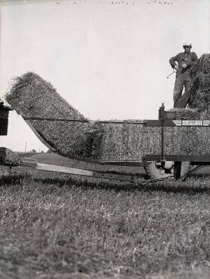 Man standing on baled hay in trailer at Lisle Farms