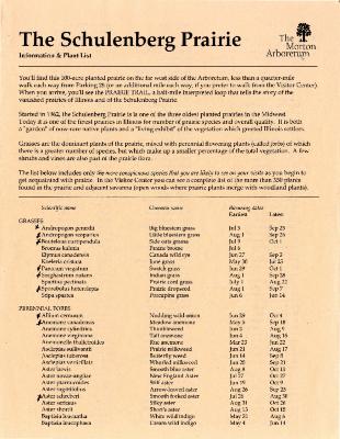 The Schulenberg Prairie Information and Plant List