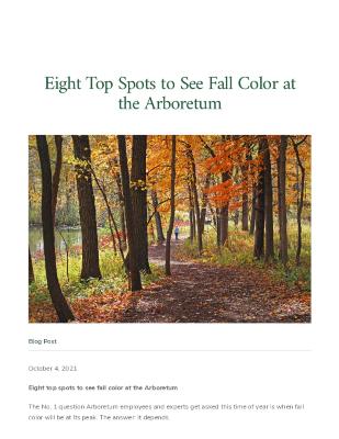 Eight Top Spots to See Fall Color at the Arboretum