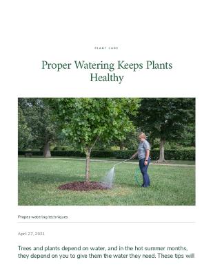 Proper Watering Keeps Plants Healthy