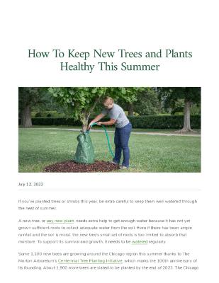 How To Keep New Trees and Plants Healthy This Summer