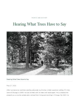 Hearing What Trees Have to Say