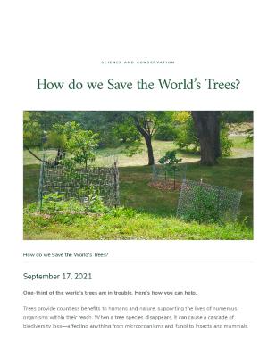How do we Save the World's Trees?