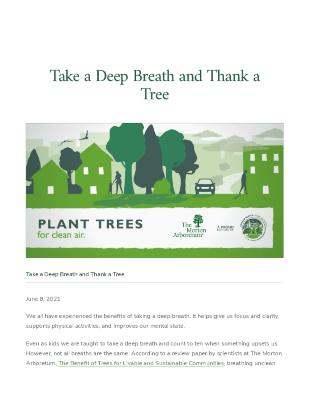 Take a Deep Breath and Thank a Tree
