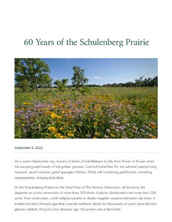 60 Years of the Schulenberg Prairie