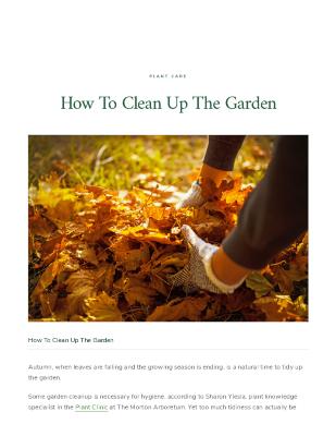 How To Clean Up The Garden