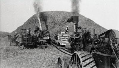 Men transferring crop into thresher with threshing machine in foreground at Lisle Farms