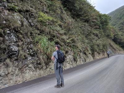 Andrew Gapinski examining roadside vegetation