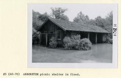 Arboretum picnic shelter in flood