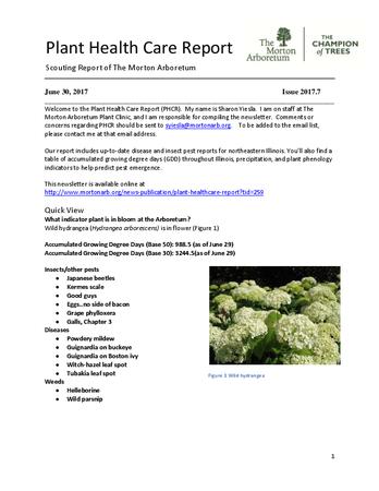 Plant Health Care Report, Issue 2017.7