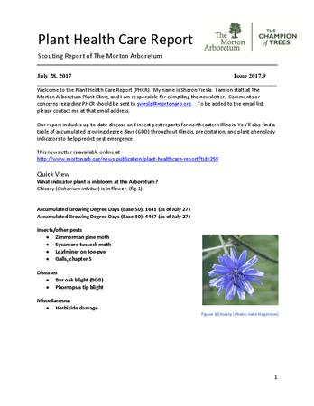 Plant Health Care Report, Issue 2017.9