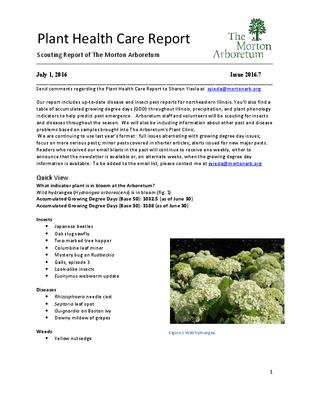 Plant Health Care Report, Issue 2016.7