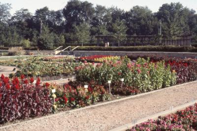 Hartley Trial Garden 