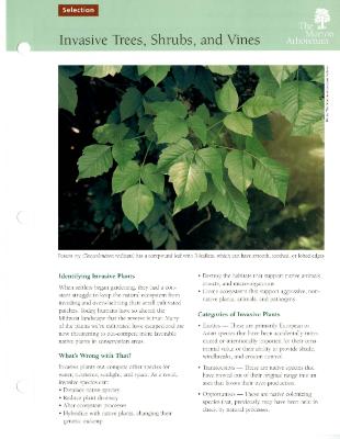 Tree & Shrub Handbook: Selection, Invasive Trees, Shrubs, and Vines