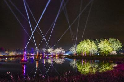 Illumination: "Radiant Reflections" laser light display over Meadow Lake
